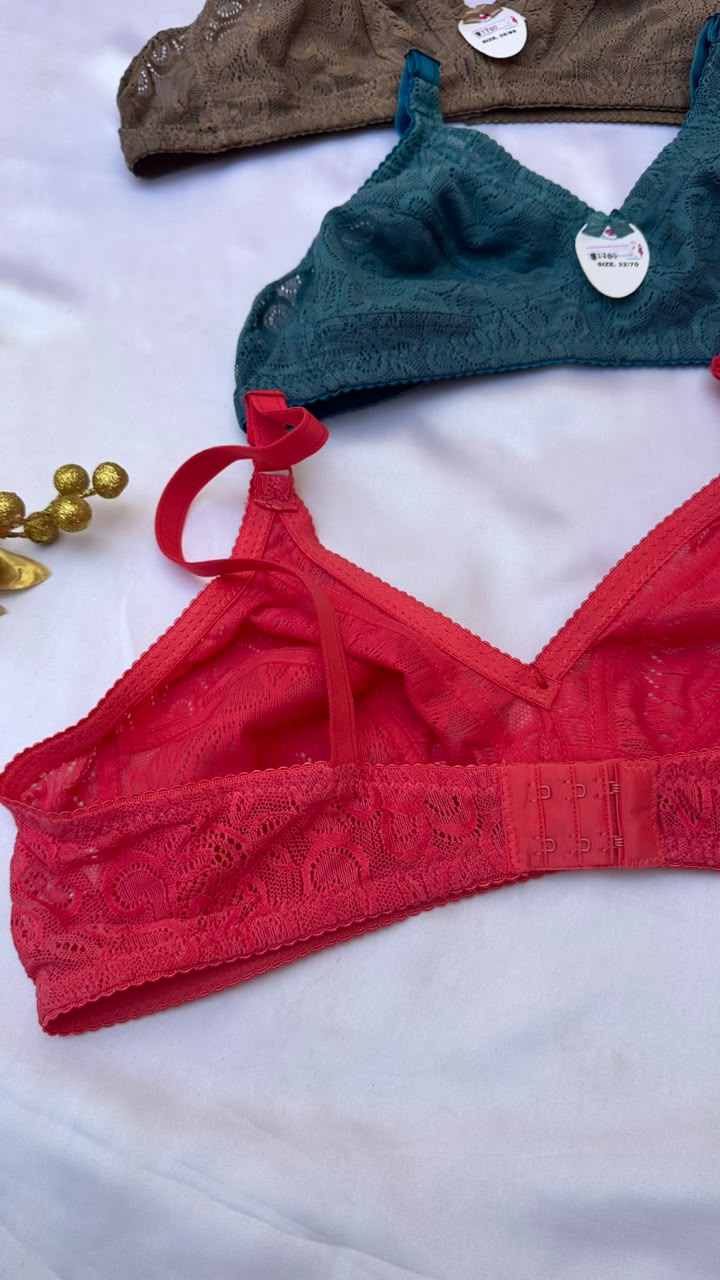Daily wear net bra
